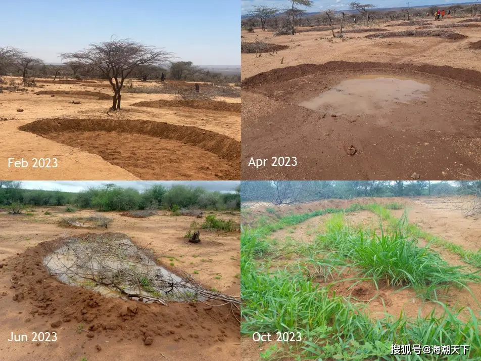 非洲肯尼亚裂缝_非洲肯尼亚野生动物保护区_