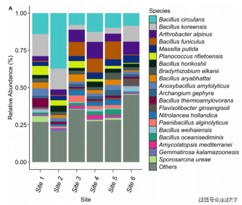 非洲肯尼亚野生动物保护区_非洲肯尼亚裂缝_