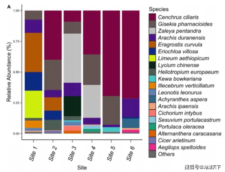 非洲肯尼亚野生动物保护区_非洲肯尼亚裂缝_