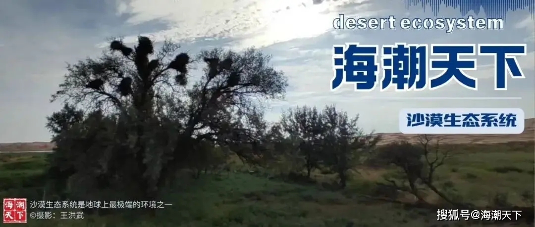 _非洲肯尼亚野生动物保护区_非洲肯尼亚裂缝