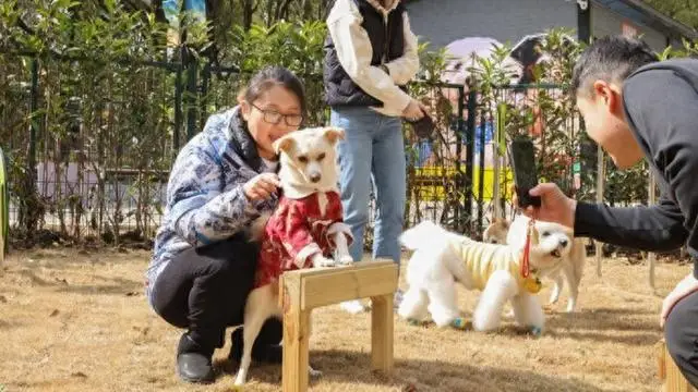 “毛孩子”也有自己的游乐场!世纪公园宠物乐园将于3月8日正式对公众开放