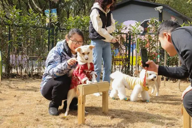 宠物乐园面积_宠物乐园项目_