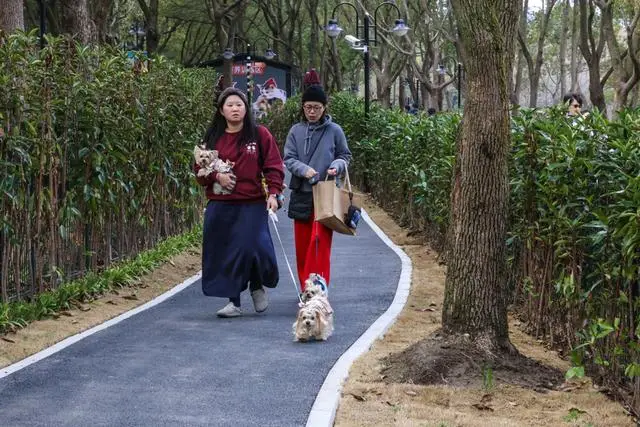 宠物乐园项目__宠物乐园面积