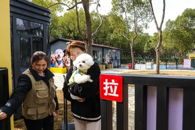 _宠物乐园项目_宠物乐园面积