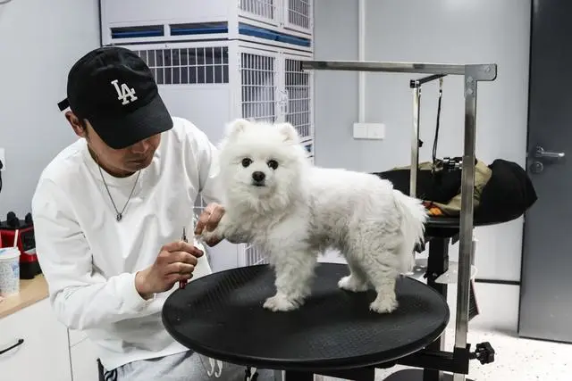 _宠物乐园面积_宠物乐园项目