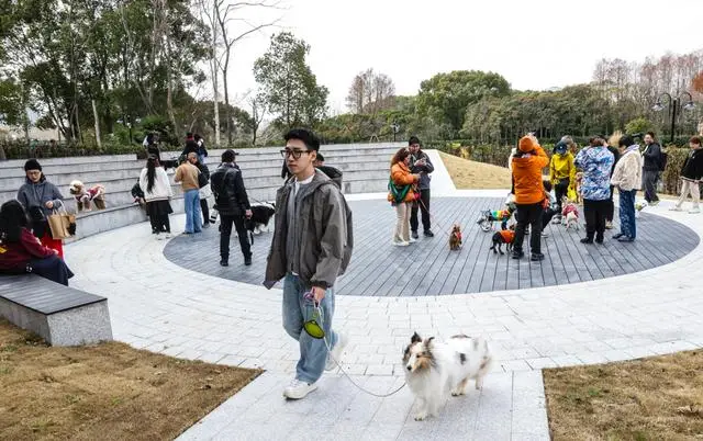 宠物乐园面积_宠物乐园项目_