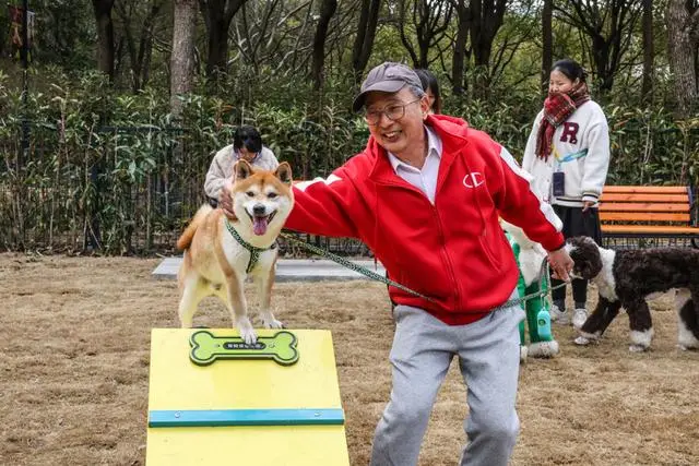 _宠物乐园面积_宠物乐园项目