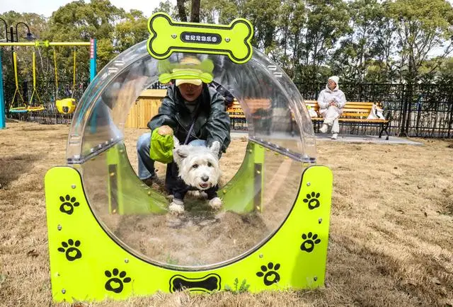 宠物乐园面积_宠物乐园项目_