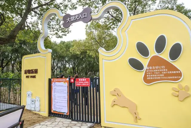 宠物乐园项目__宠物乐园面积