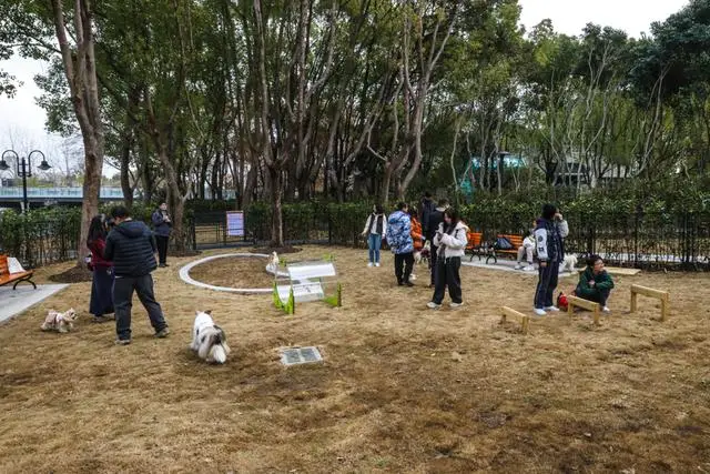 宠物乐园面积__宠物乐园项目