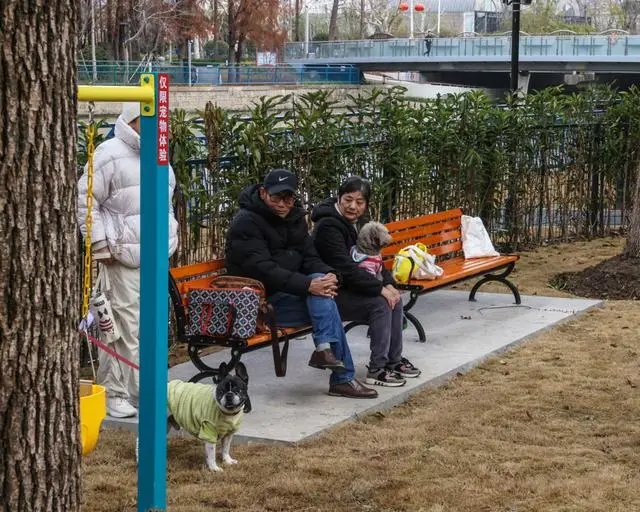 宠物乐园面积_宠物乐园项目_