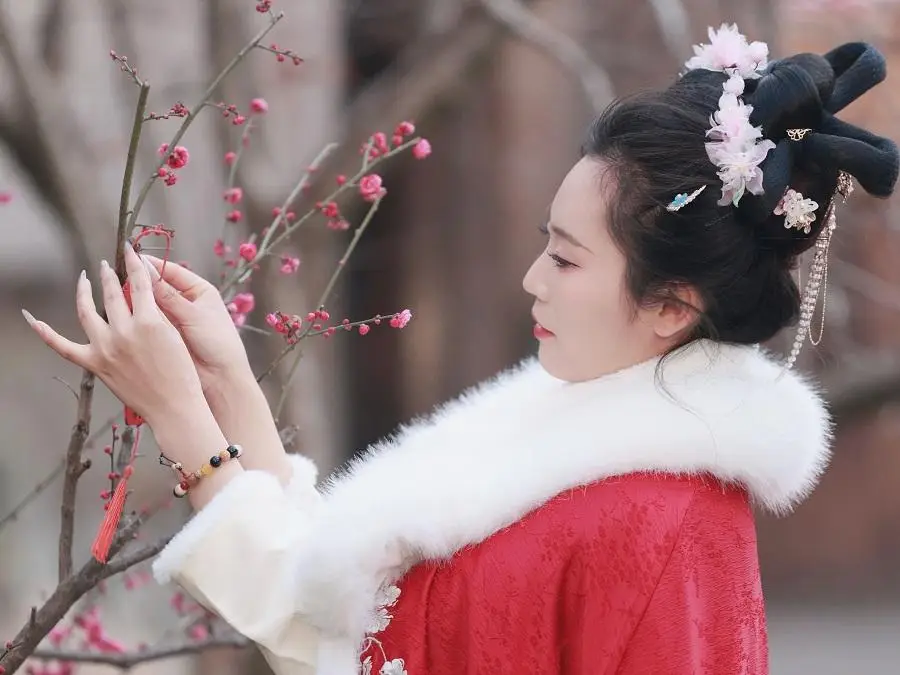 长安唐村的春光正好