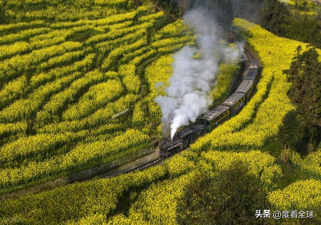 _解锁3大秘境！嘉阳小火车，藏着工业与浪漫_解锁3大秘境！嘉阳小火车，藏着工业与浪漫