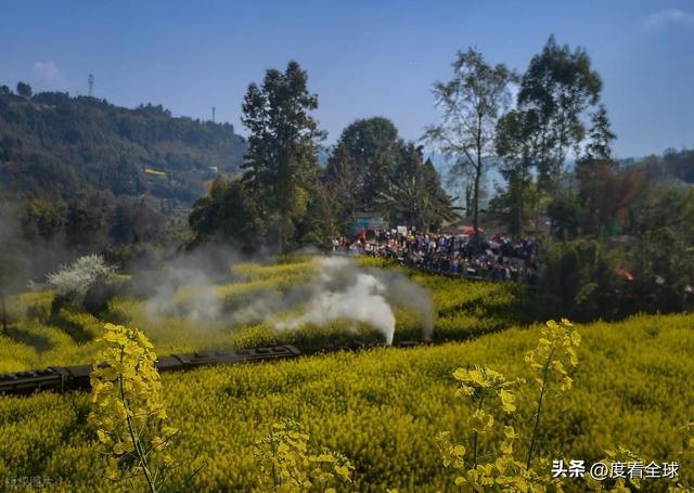 解锁3大秘境！嘉阳小火车，藏着工业与浪漫_解锁3大秘境！嘉阳小火车，藏着工业与浪漫_