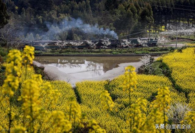 解锁3大秘境！嘉阳小火车，藏着工业与浪漫_解锁3大秘境！嘉阳小火车，藏着工业与浪漫_
