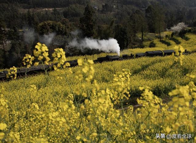 _解锁3大秘境！嘉阳小火车，藏着工业与浪漫_解锁3大秘境！嘉阳小火车，藏着工业与浪漫