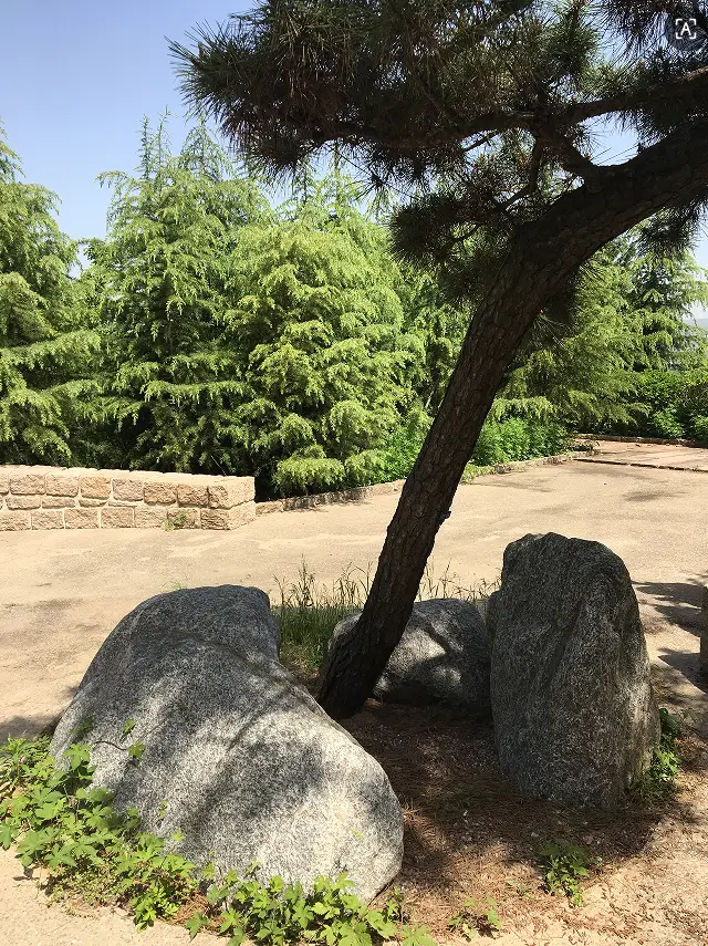 _《见闻》_见闻录白话