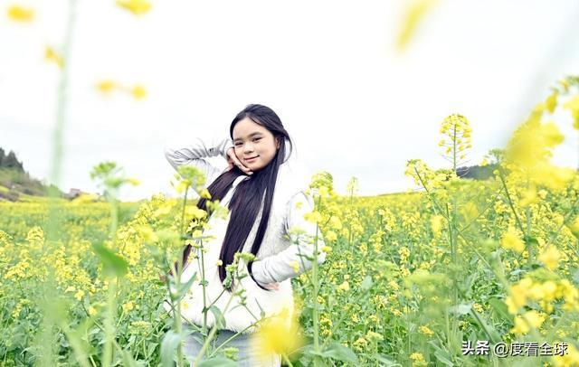 _3大亮点！石柱黎场油菜花，承包整个春天的浪漫_3大亮点！石柱黎场油菜花，承包整个春天的浪漫