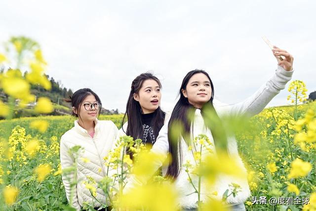 3大亮点！石柱黎场油菜花，承包整个春天的浪漫__3大亮点！石柱黎场油菜花，承包整个春天的浪漫