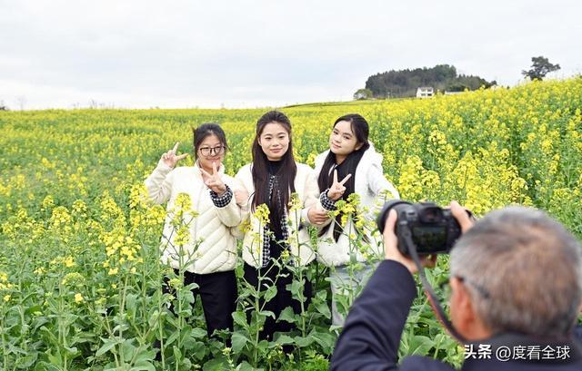 3大亮点！石柱黎场油菜花，承包整个春天的浪漫__3大亮点！石柱黎场油菜花，承包整个春天的浪漫