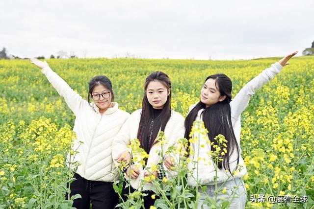 3大亮点！石柱黎场油菜花，承包整个春天的浪漫_3大亮点！石柱黎场油菜花，承包整个春天的浪漫_