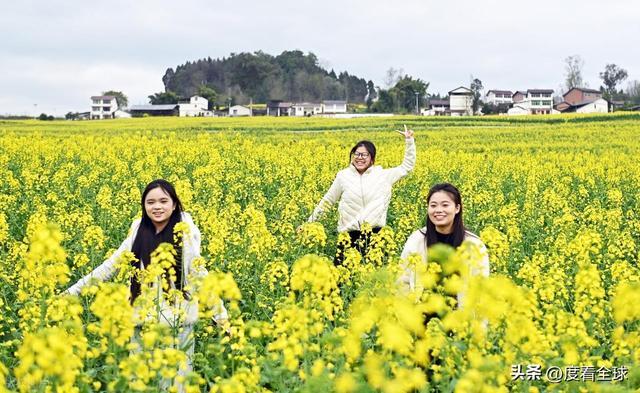 3大亮点！石柱黎场油菜花，承包整个春天的浪漫_3大亮点！石柱黎场油菜花，承包整个春天的浪漫_
