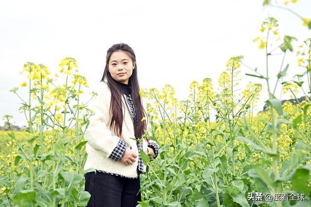3大亮点！石柱黎场油菜花，承包整个春天的浪漫_3大亮点！石柱黎场油菜花，承包整个春天的浪漫_