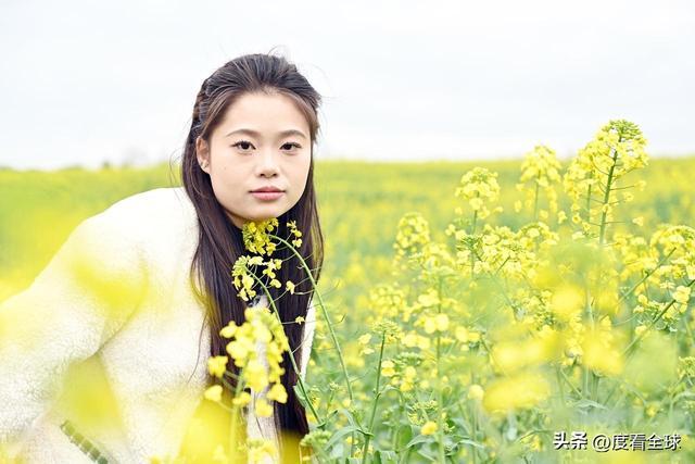 3大亮点！石柱黎场油菜花，承包整个春天的浪漫_3大亮点！石柱黎场油菜花，承包整个春天的浪漫_