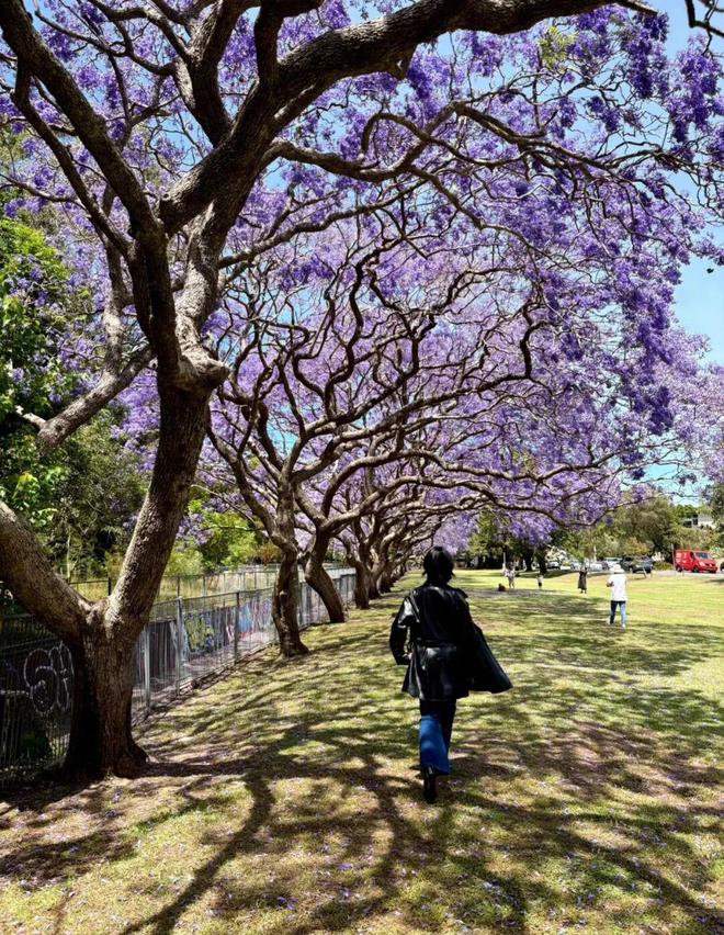 从每天只睡4小时到8小时:一个失眠者的自救指南__从每天只睡4小时到8小时:一个失眠者的自救指南