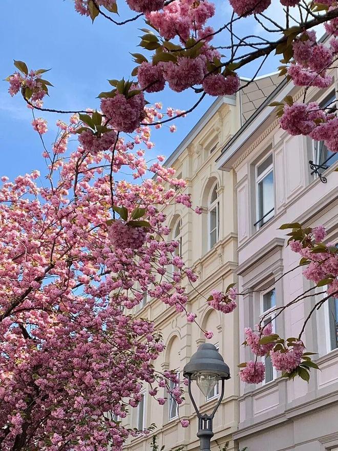 _推广|| 春天第一双鞋！暴走不累、搭遍好看小裙子_推广|| 春天第一双鞋！暴走不累、搭遍好看小裙子