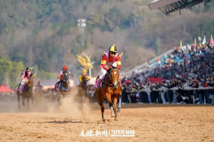 _贵州焕颜网络科技有限公司_贵州大黔朝酒黔朝15