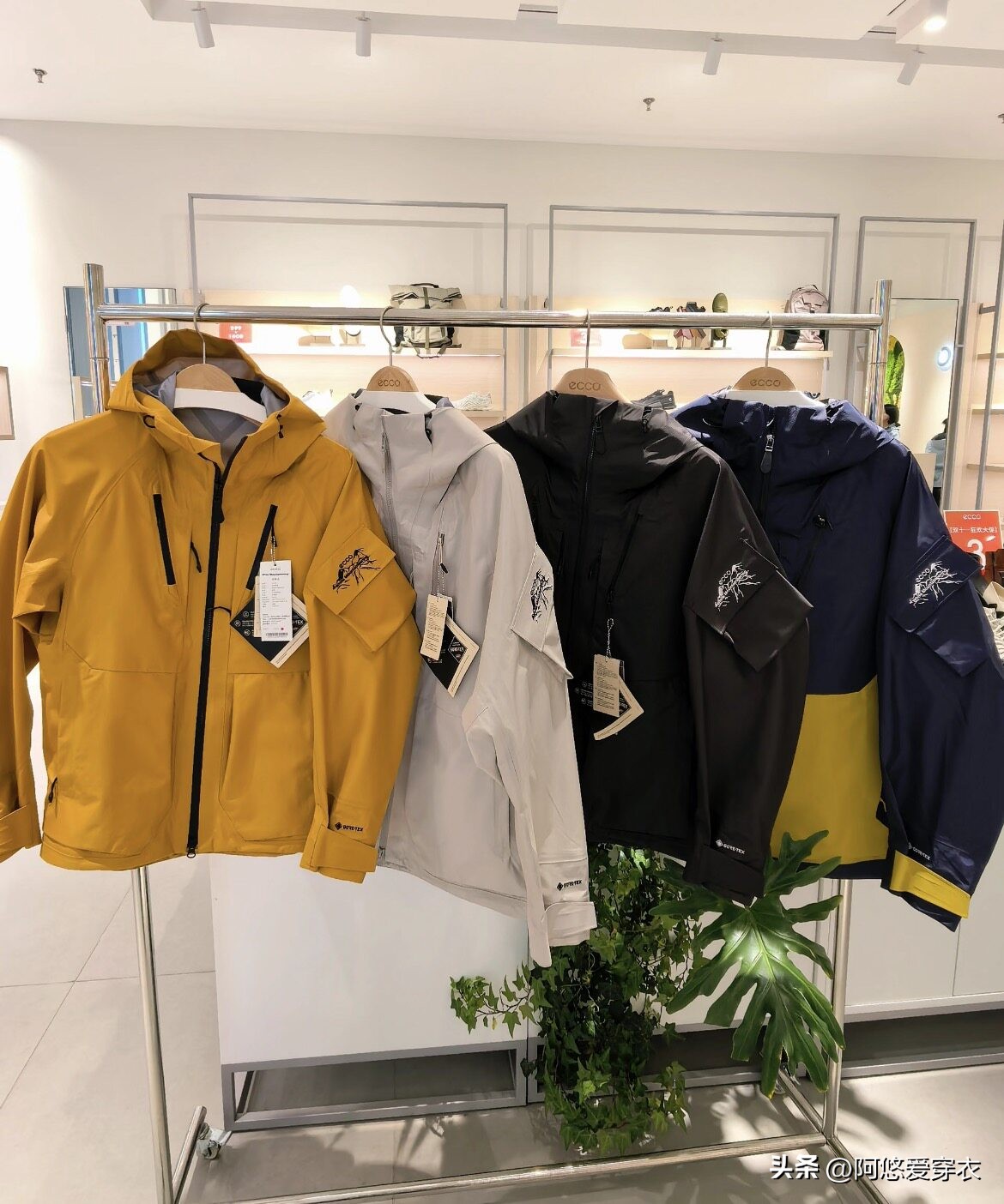 _始祖鸟冲锋衣适合平常穿么_virgil上身始祖鸟冲锋衣