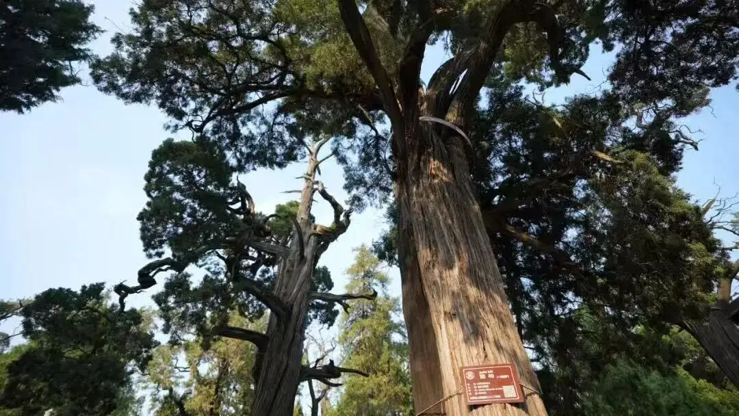 _不等了!现在就出发!邹城错峰游“真香”~_不等了!现在就出发!邹城错峰游“真香”~