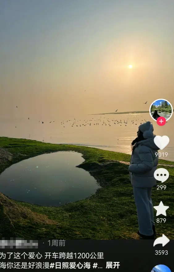 日照县天气预报15天_日照县天气预报_