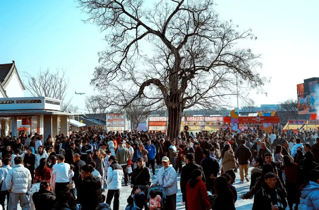 魏坡·新序春节文旅市场火爆出圈_魏坡·新序春节文旅市场火爆出圈_