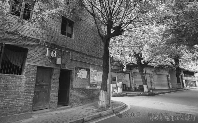 江北区老区府_重庆江北老街_