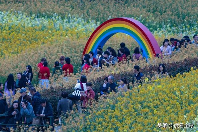 _身心疲惫眼疲惫_沈家营向日葵花海