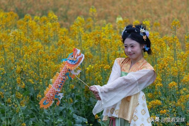 身心疲惫眼疲惫__沈家营向日葵花海