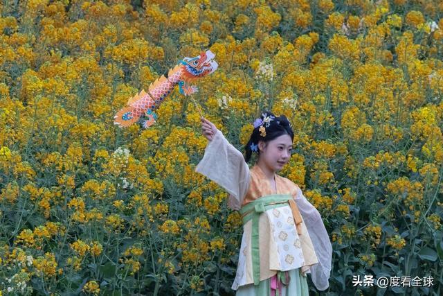 身心疲惫眼疲惫__沈家营向日葵花海