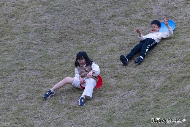 _身心疲惫眼疲惫_沈家营向日葵花海