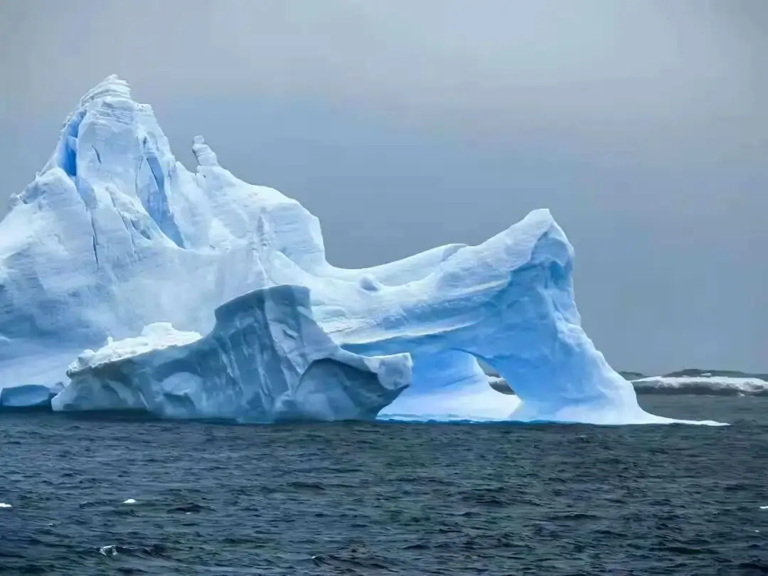 女子花10多万去南极旅游，刚下飞机行李就没了！衣物全靠借，还好有同胞帮忙