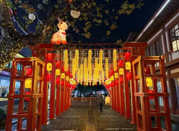 _上海灯会的由来_上海灯会2021