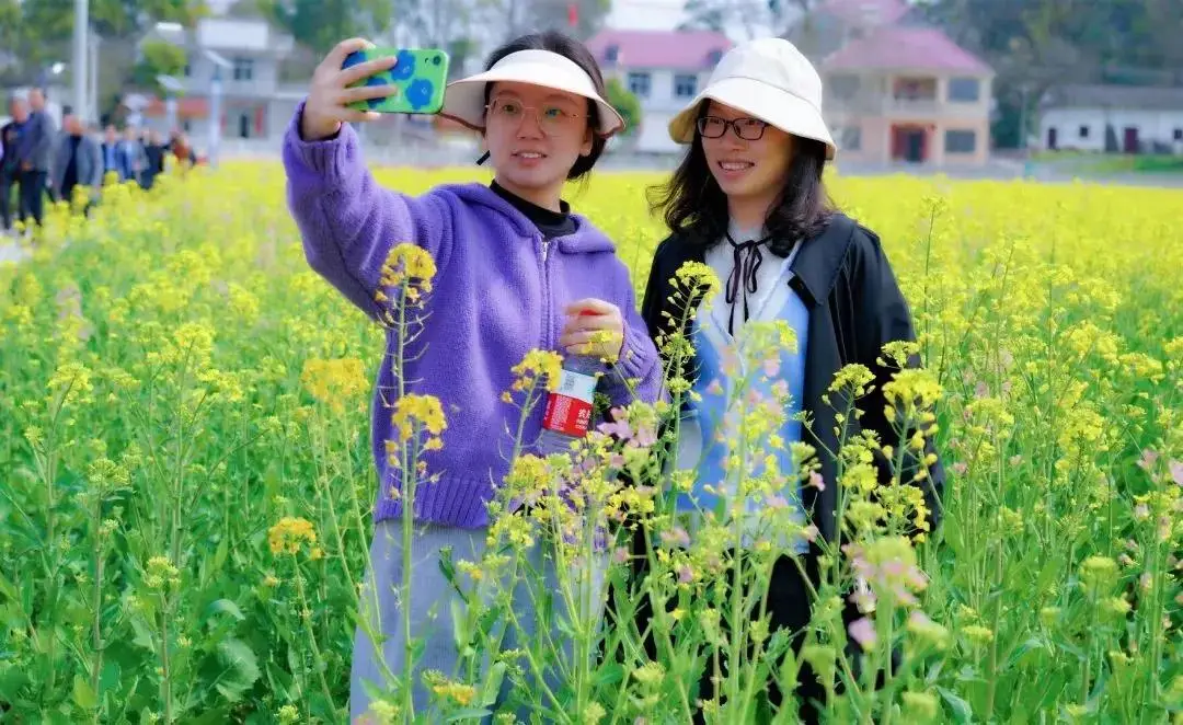 七彩油菜花的花语_七彩油菜花海的照片_