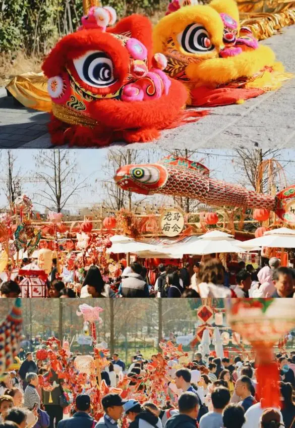 上海灯会在什么地方__元宵节上海灯会