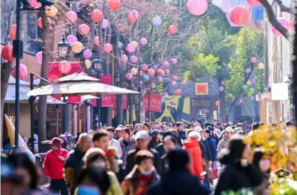 元宵节上海灯会__上海灯会在什么地方