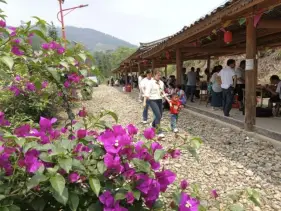 中国六大新鲜行业详细__铸星龙王新鲜评测出炉