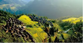 _中国六大新鲜行业详细_铸星龙王新鲜评测出炉