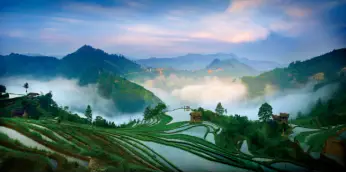 _铸星龙王新鲜评测出炉_中国六大新鲜行业详细