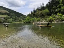 _中国六大新鲜行业详细_铸星龙王新鲜评测出炉