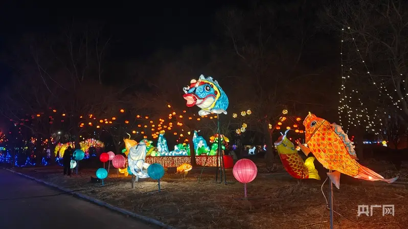 跟着镜头游龙江丨逐光元宵夜 花灯赴春约__跟着镜头游龙江丨逐光元宵夜 花灯赴春约